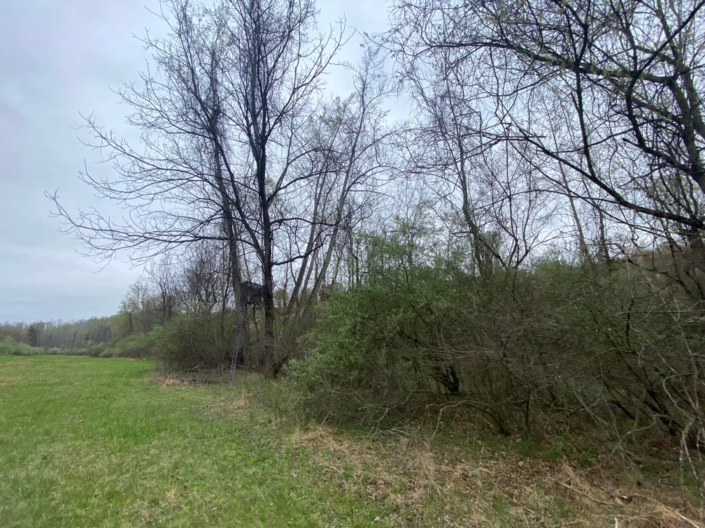 Image for BREATHTAKING MOUNTAIN VIEWS: Blue Ridge Estate Auction - 158-Acre Farm & Building Lot - Amherst, VA