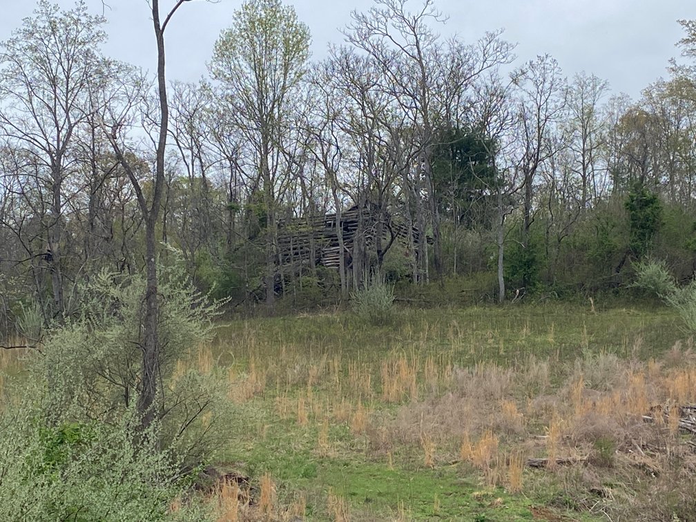 Image for BREATHTAKING MOUNTAIN VIEWS: Blue Ridge Estate Auction - 158-Acre Farm & Building Lot - Amherst, VA