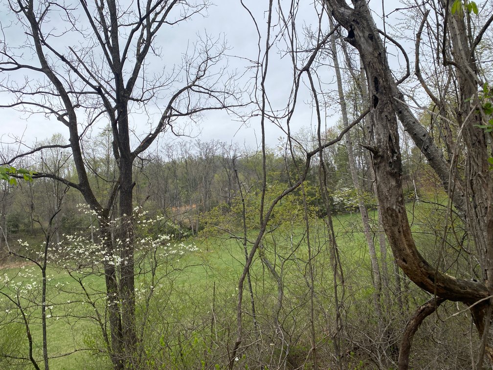 Image for BREATHTAKING MOUNTAIN VIEWS: Blue Ridge Estate Auction - 158-Acre Farm & Building Lot - Amherst, VA
