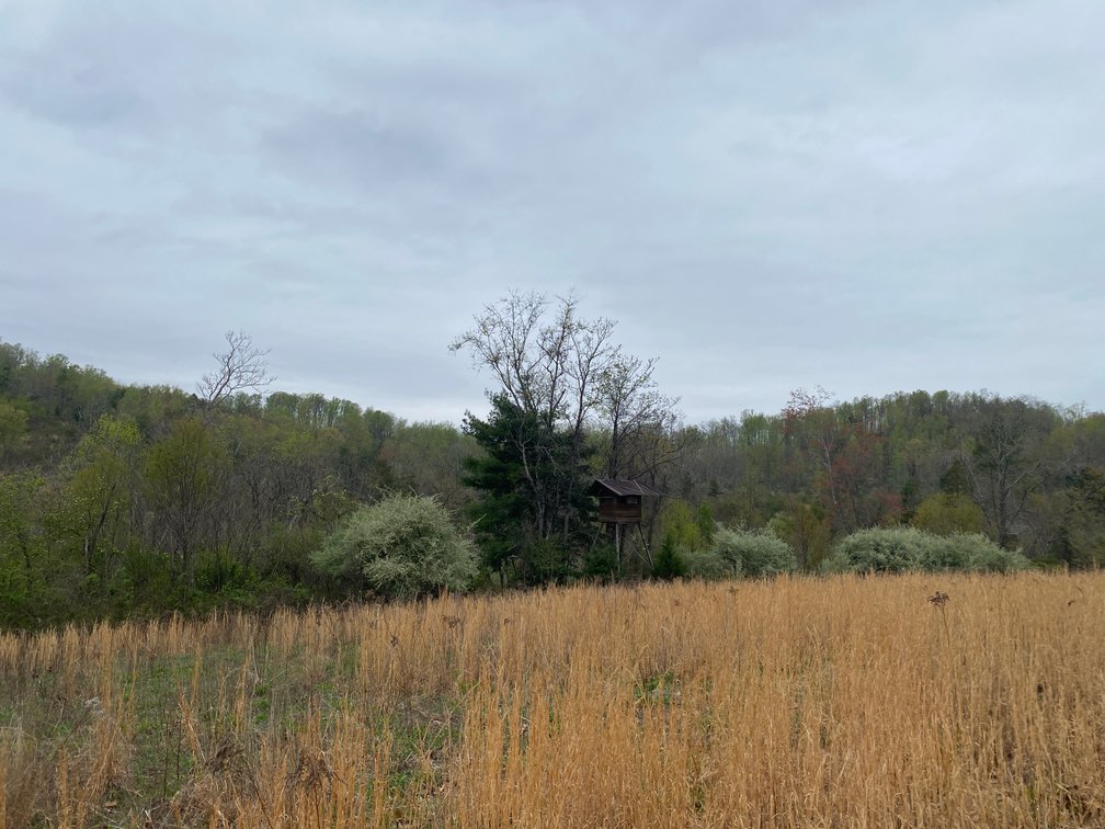 Image for BREATHTAKING MOUNTAIN VIEWS: Blue Ridge Estate Auction - 158-Acre Farm & Building Lot - Amherst, VA
