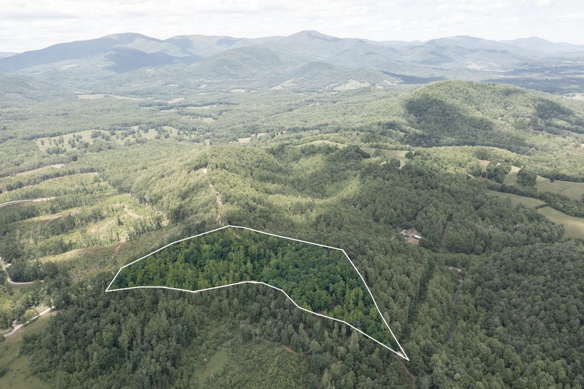 Image for BREATHTAKING MOUNTAIN VIEWS: Blue Ridge Estate Auction - 158-Acre Farm & Building Lot - Amherst, VA