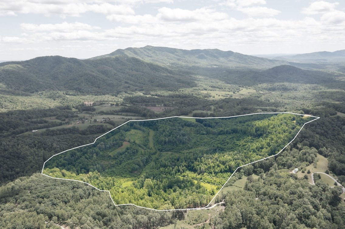 Image for BREATHTAKING MOUNTAIN VIEWS: Blue Ridge Estate Auction - 158-Acre Farm & Building Lot - Amherst, VA