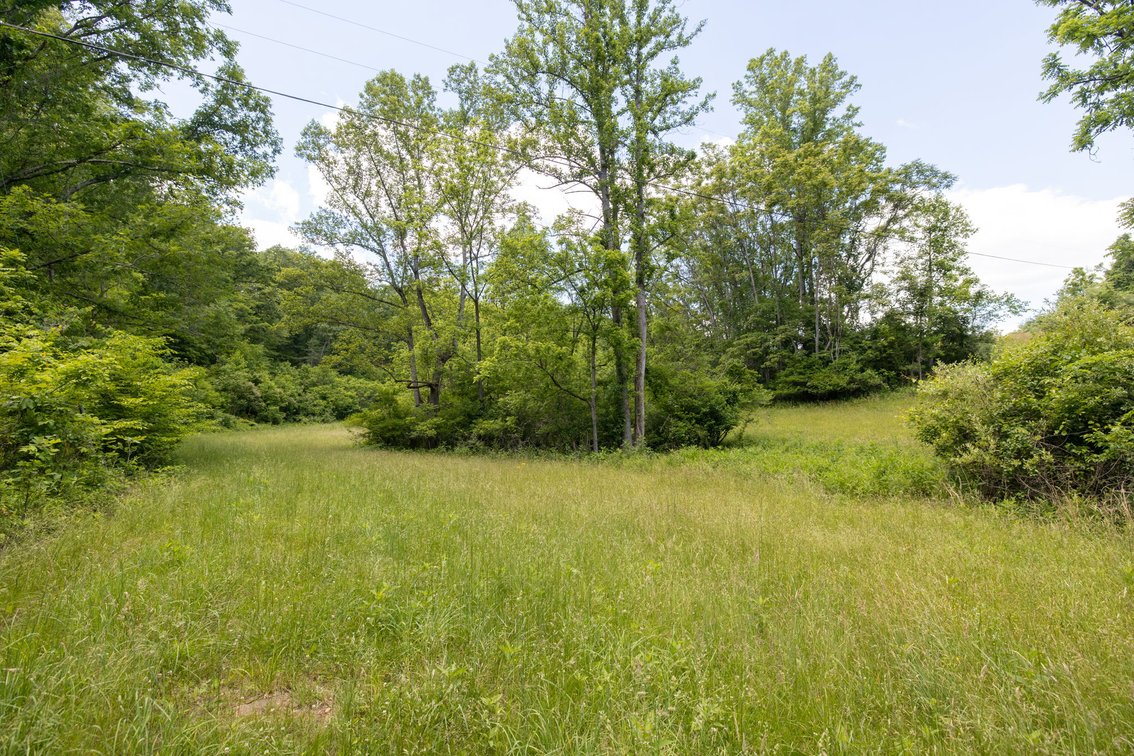 Image for BREATHTAKING MOUNTAIN VIEWS: Blue Ridge Estate Auction - 158-Acre Farm & Building Lot - Amherst, VA