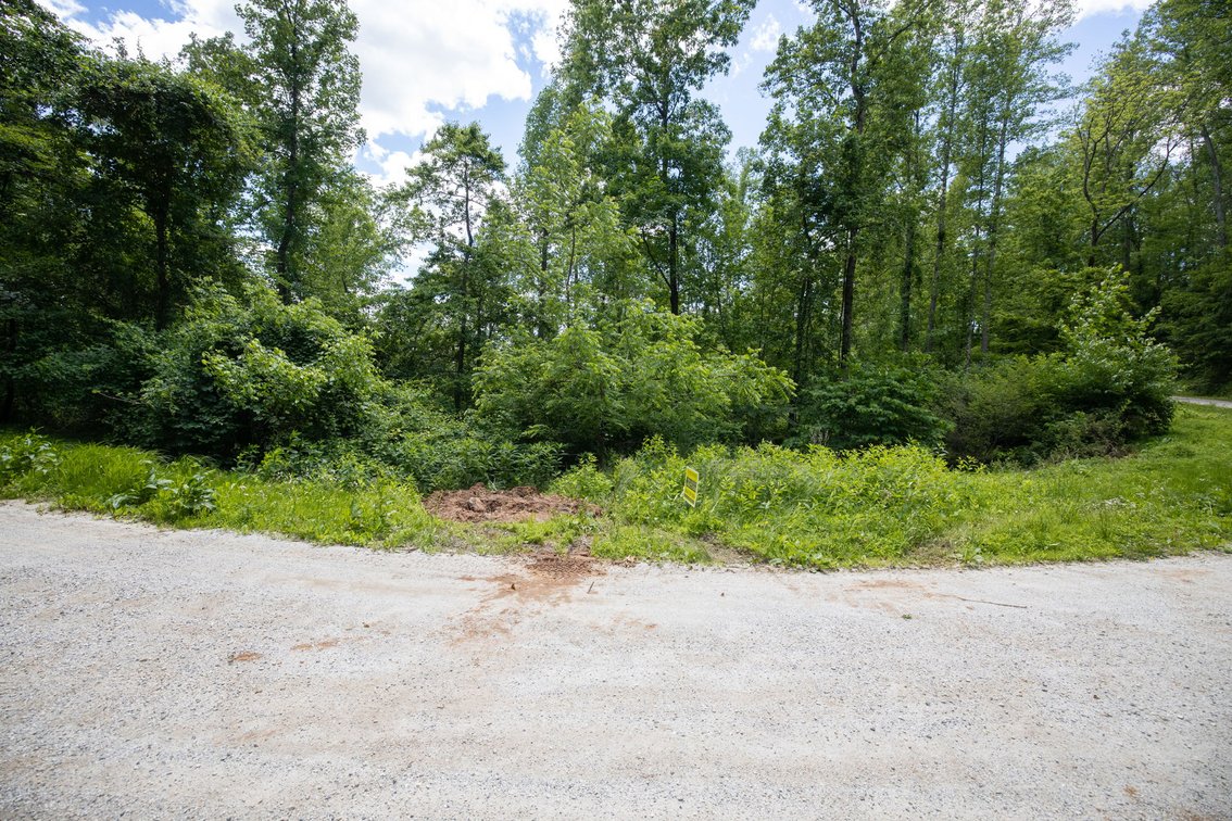 Image for BREATHTAKING MOUNTAIN VIEWS: Blue Ridge Estate Auction - 158-Acre Farm & Building Lot - Amherst, VA