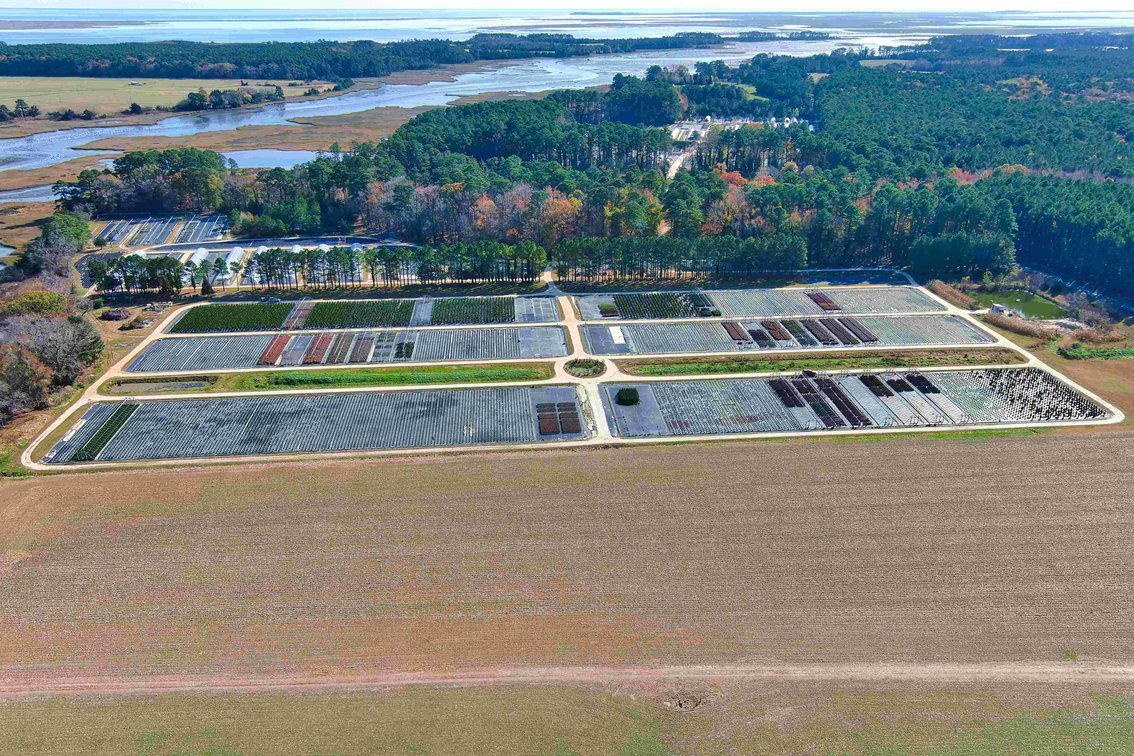 Image for Eastern Shore Farm Auction - 33 to 92 Acres - Creek Frontage, Hunting Land, Hobby Farm & Commercial Nursery - Virginia