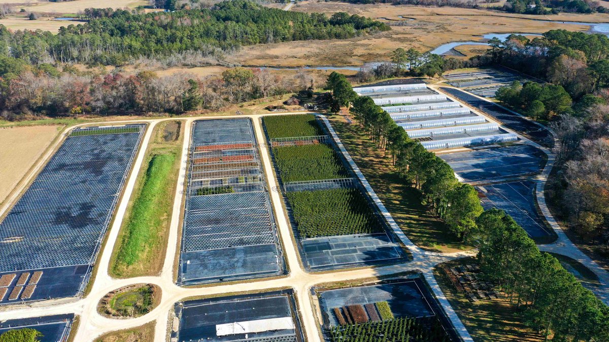Image for Eastern Shore Farm Auction - 33 to 92 Acres - Creek Frontage, Hunting Land, Hobby Farm & Commercial Nursery - Virginia