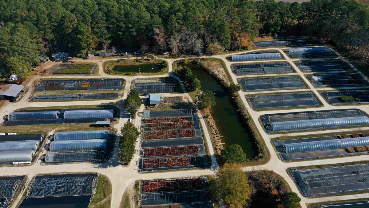 Image for Eastern Shore Farm Auction - 33 to 92 Acres - Creek Frontage, Hunting Land, Hobby Farm & Commercial Nursery - Virginia