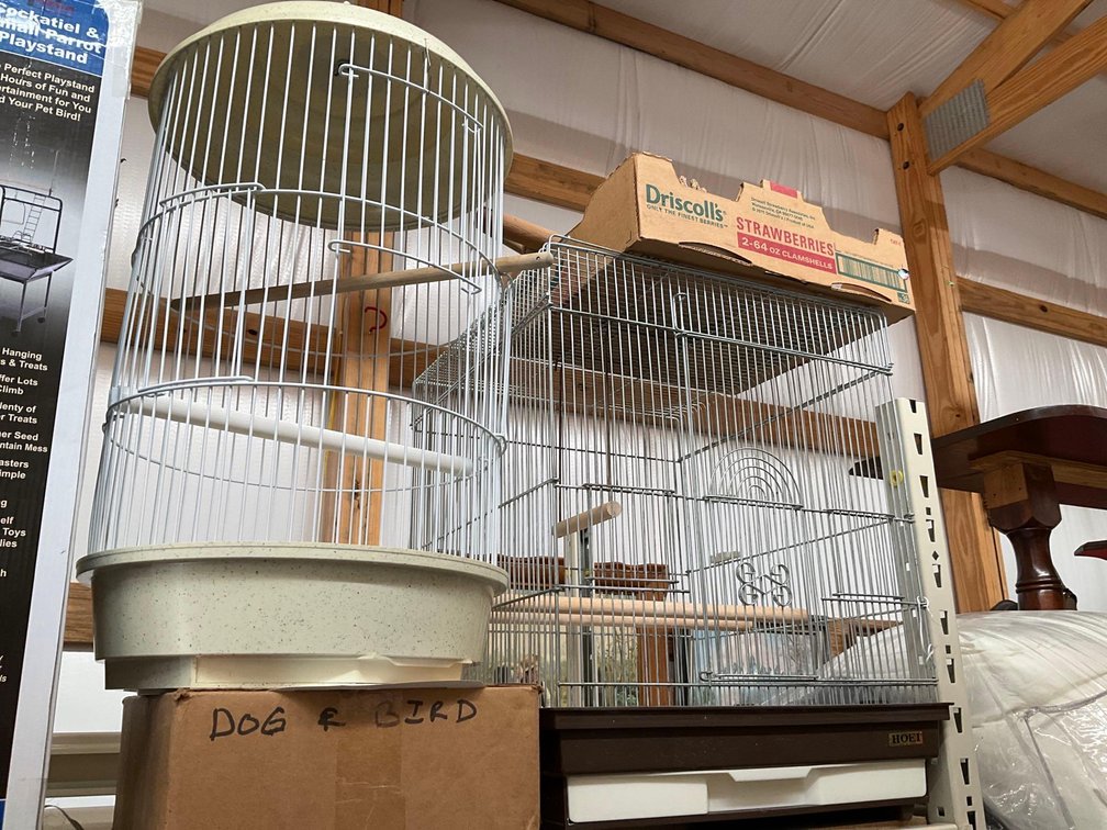 Image for Furniture, collectibles, household-Appleton