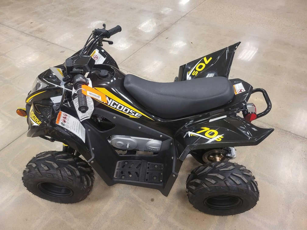 Image for ATV`s, UTV`s, Boats, Campers, Parts- Kingsford, MI