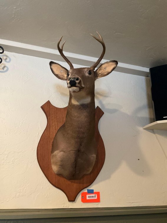 Image for Furniture, collectibles, tools-Denmark