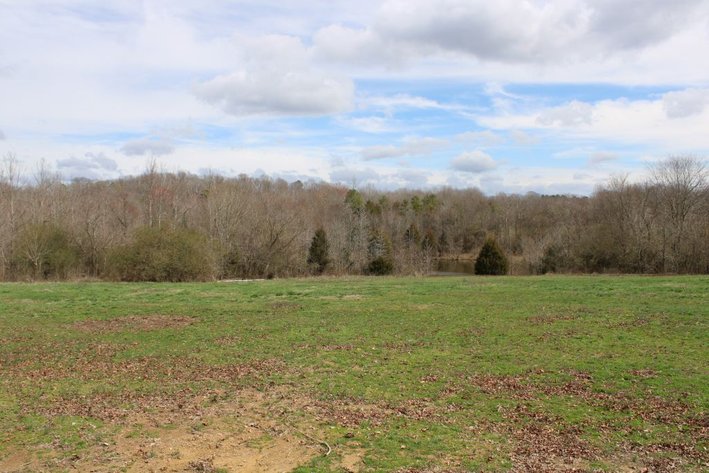 44 Acre Farm