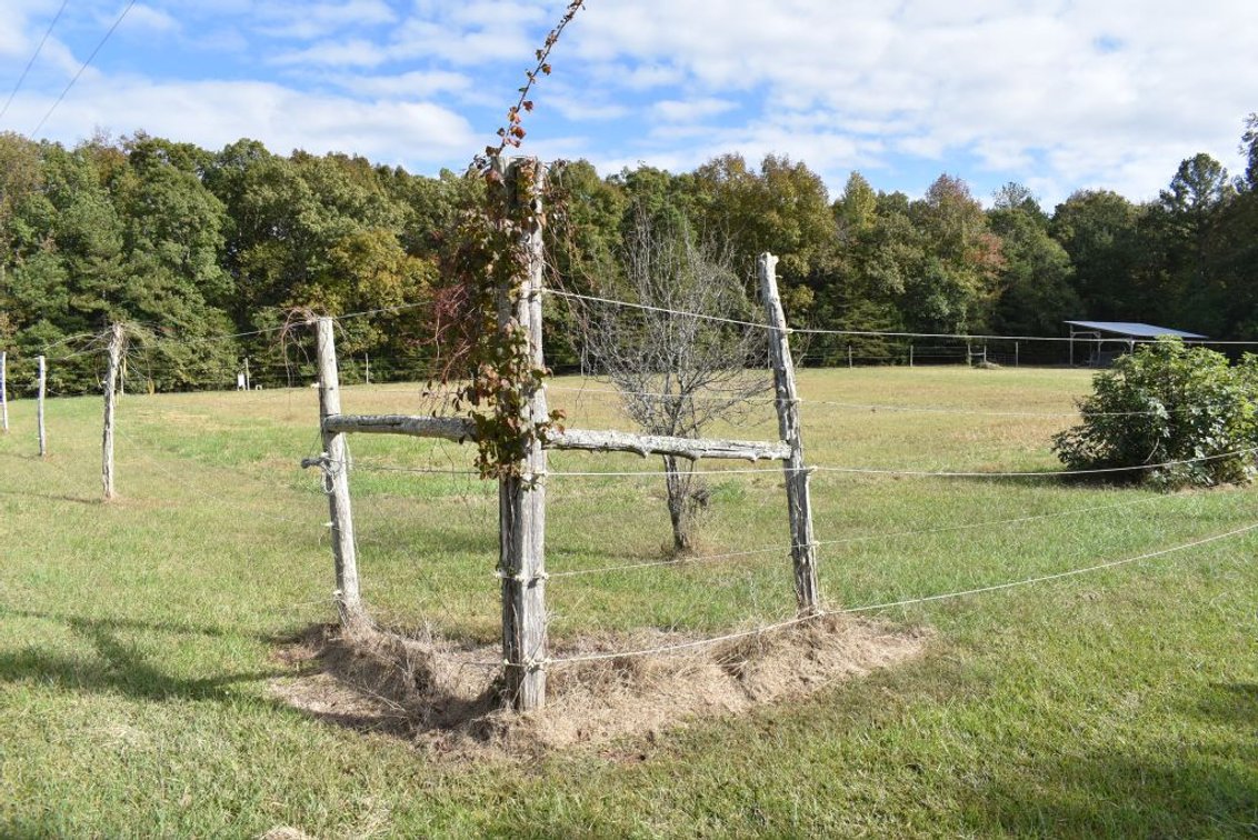 Image for Living Estate of Pamela Rene Higginbotham - Moved to Assisted Living
