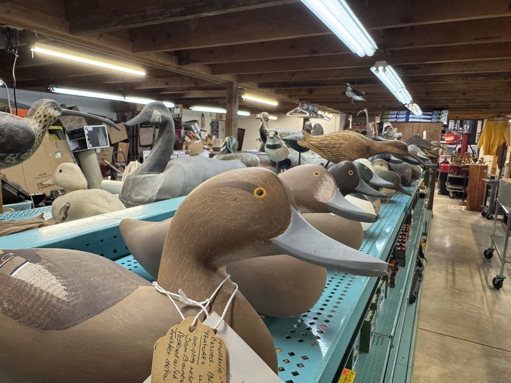 Image for SUMMER DECOY AUCTION - COMING SOON