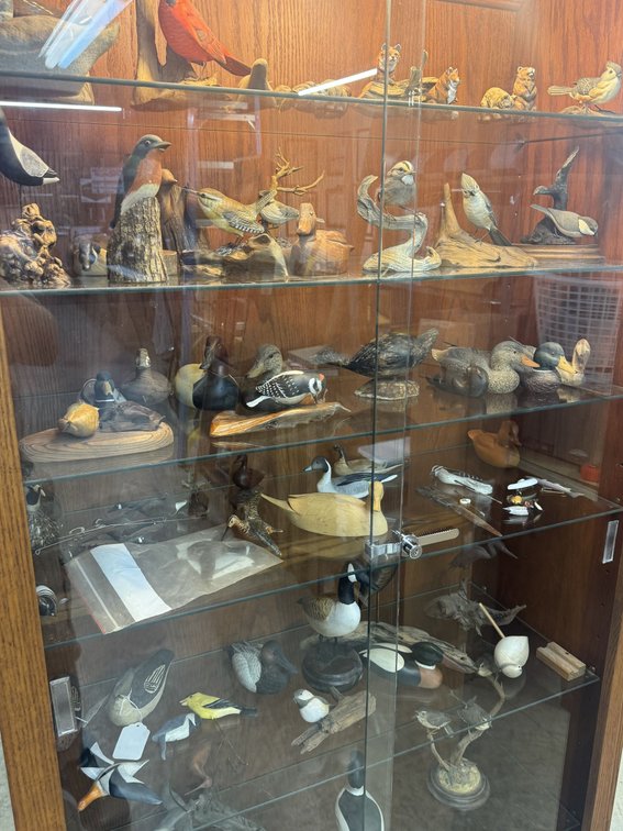Image for SUMMER DECOY AUCTION - COMING SOON