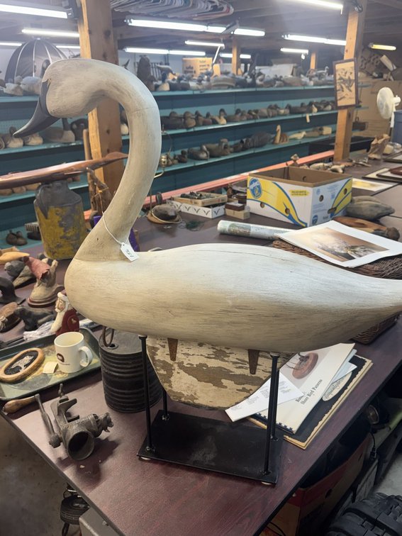 Image for SUMMER DECOY AUCTION - COMING SOON