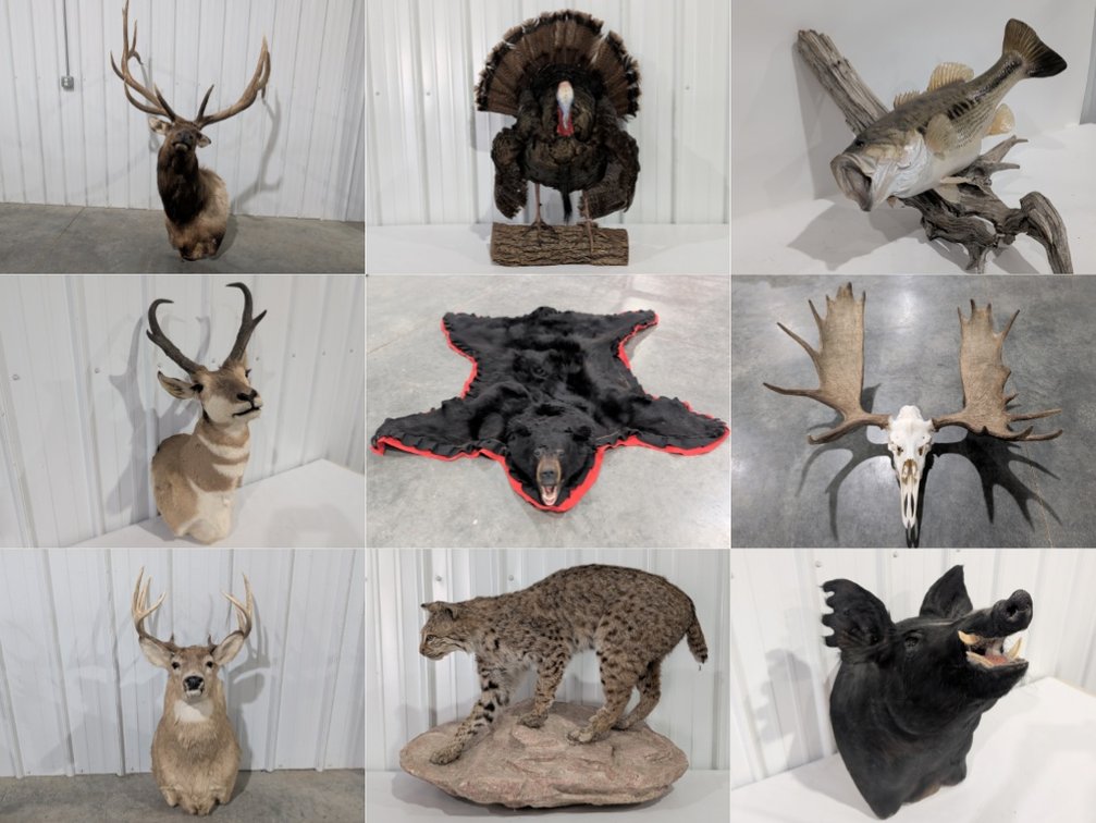 Image for Steve Roncelli Collection