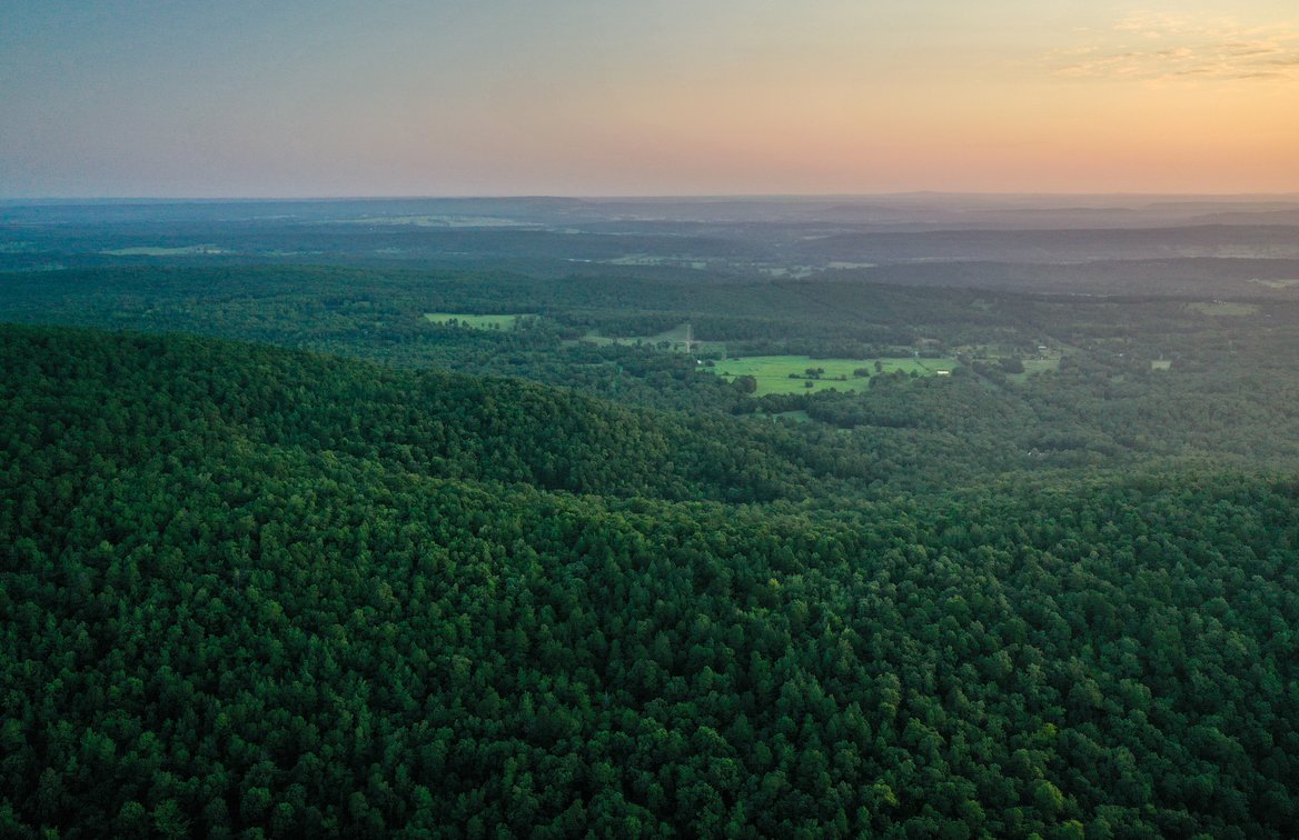 Image for Mena Timber Land | 4,636 Acres Auction
