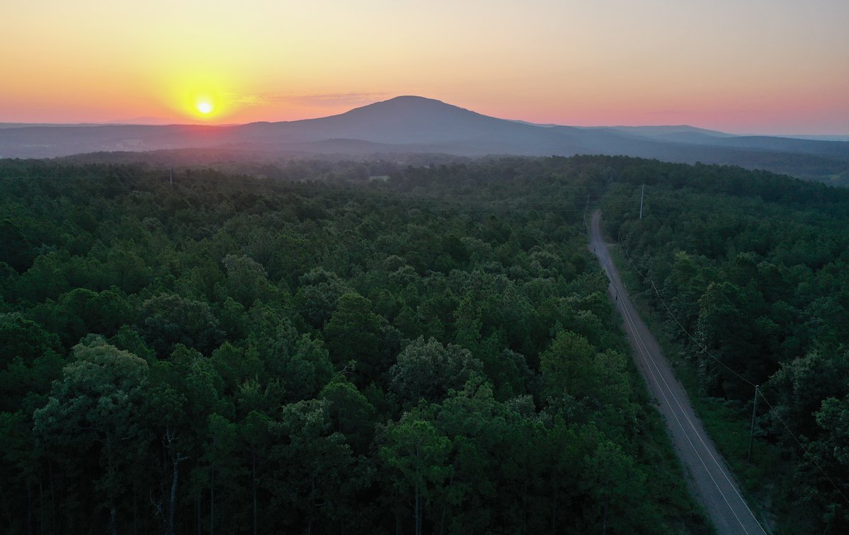 Image for Mena Timber Land | 4,636 Acres Auction