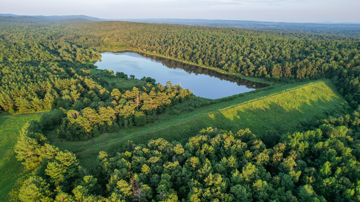 Image for Mena Timber Land | 4,636 Acres Auction