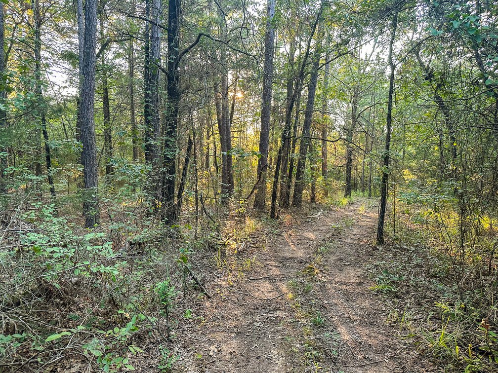 Image for Mena Timber Land | 4,636 Acres Auction