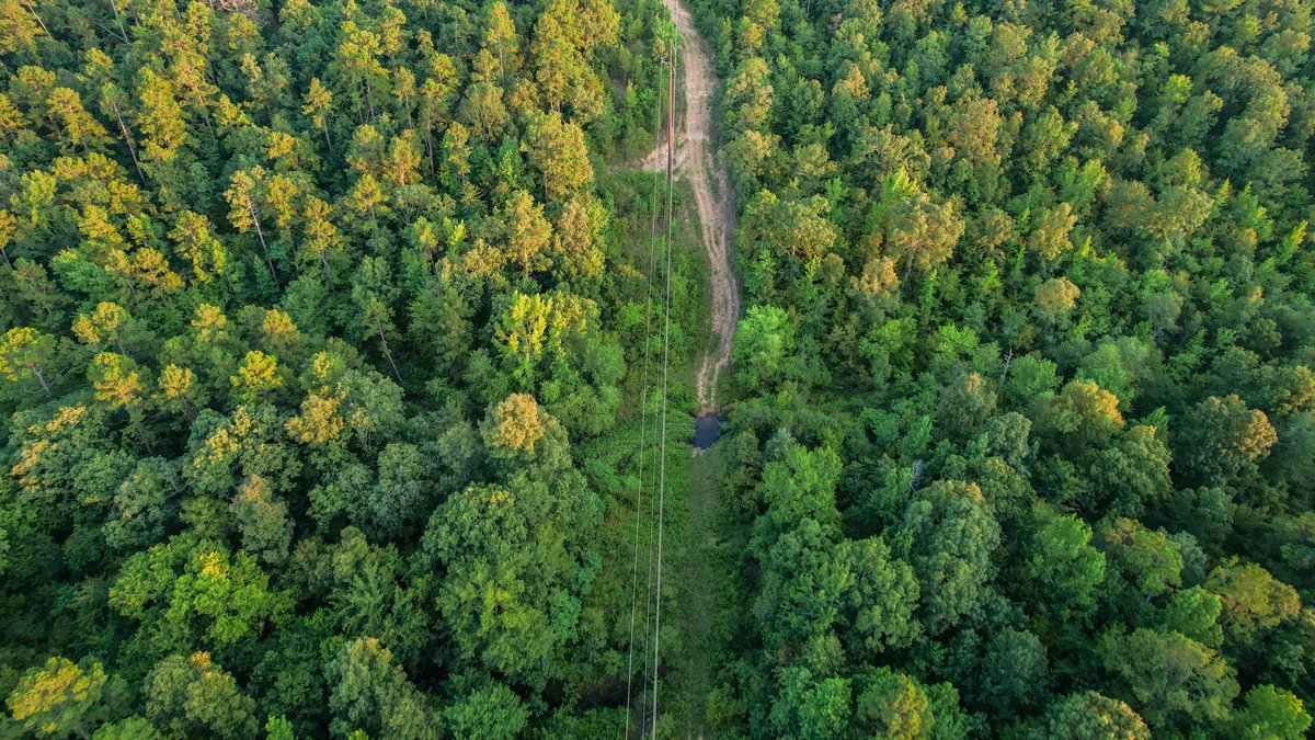 Image for Mena Timber Land | 4,636 Acres Auction