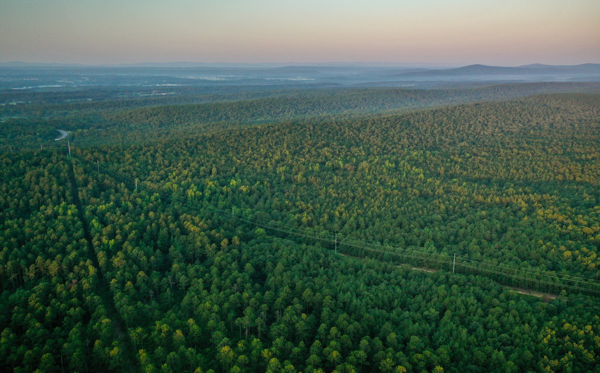 Image for Mena Timber Land | 4,636 Acres Auction