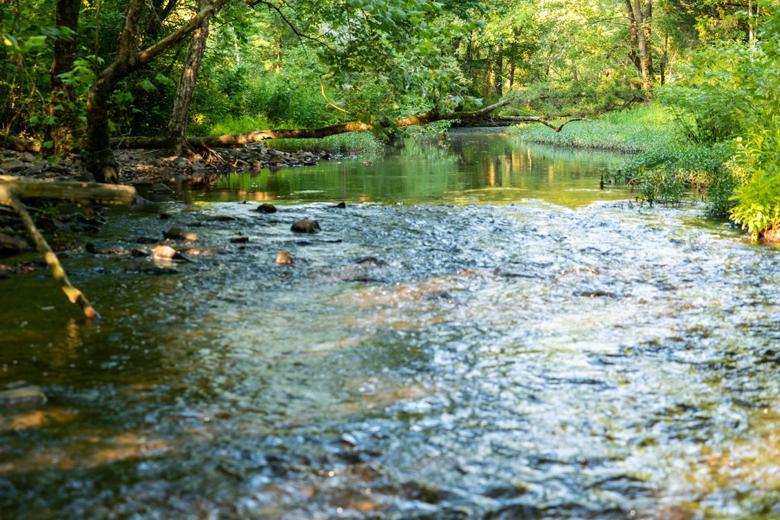 Image for Mena Timber Land | 4,636 Acres Auction
