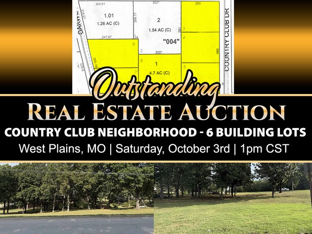 Image for Real Estate Lots Auction