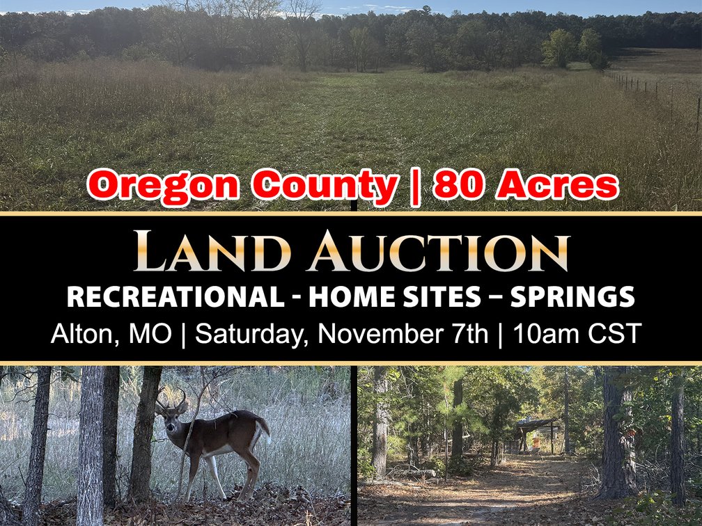 Image for Oregon County Land Auction