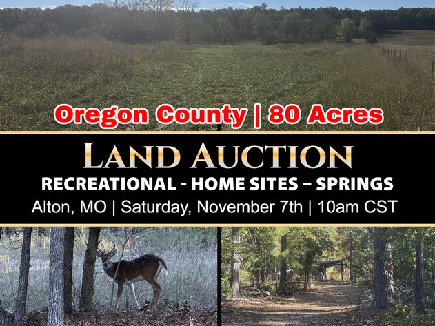 Image for Oregon County Land Auction