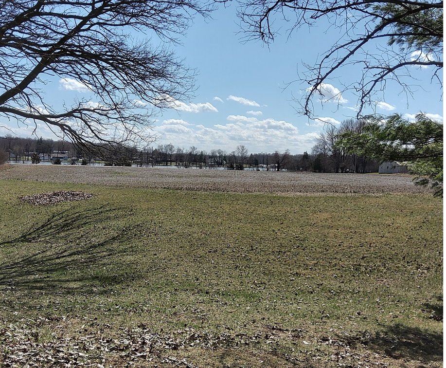 Image for George Newton Estate Auction