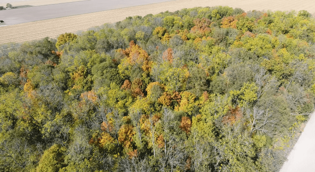 Image for 15 Acres +/- Woods Rd X Leipsic, Ohio 45864