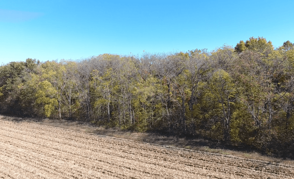 Image for 15 Acres +/- Woods Rd X Leipsic, Ohio 45864