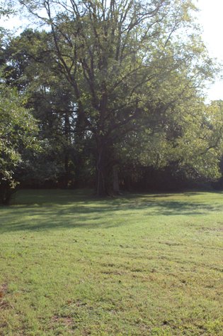 Image for CAIN STREET DANVILLE VA