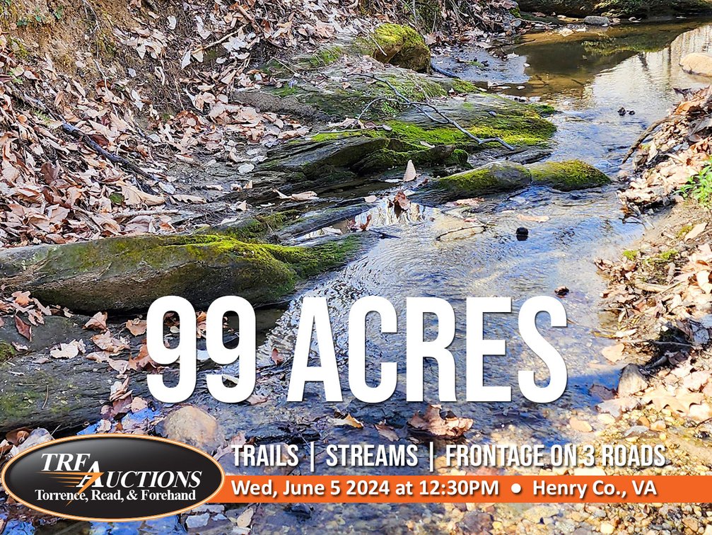 Image for 99 Acres in Henry County, VA