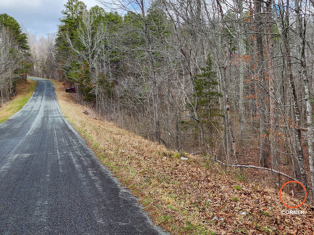 Image for 76 Acres on Birch Creek in Halifax County