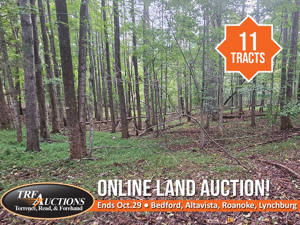 Image for Online Land Auction - Roanoke, Bedford, Campbell, Lynchburg