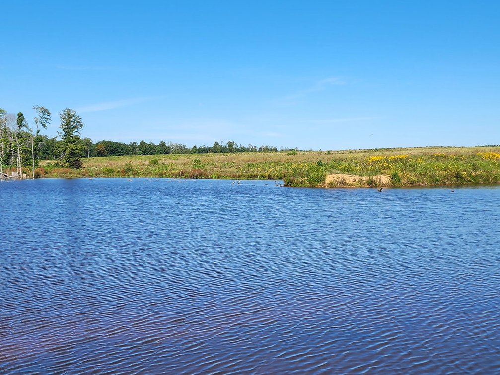 Image for 1202 Acre Farm in Scottsville VA