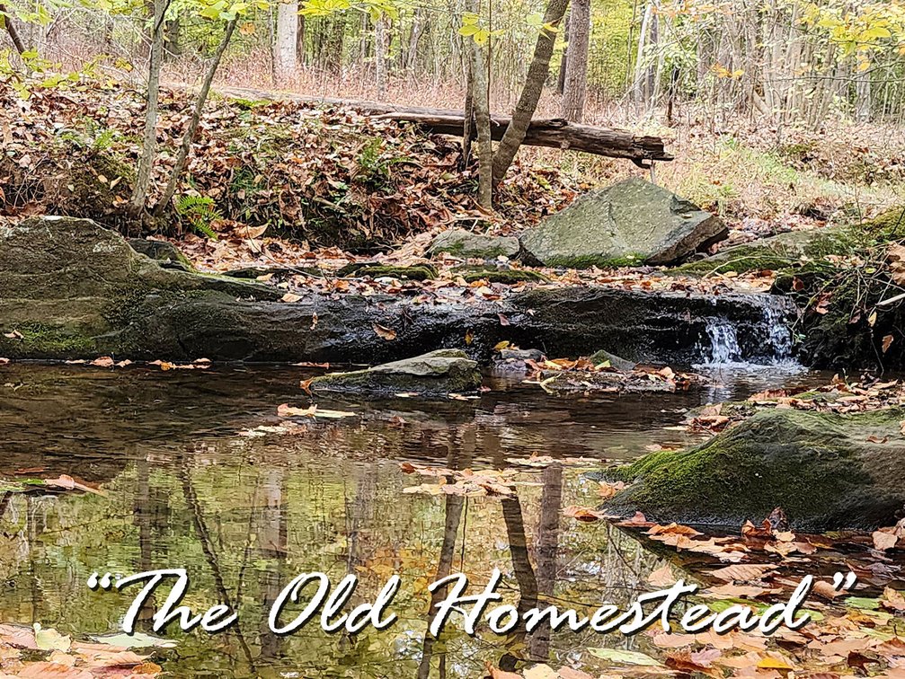 Image for The Old Homestead - 105 Acres in 3 Tracts