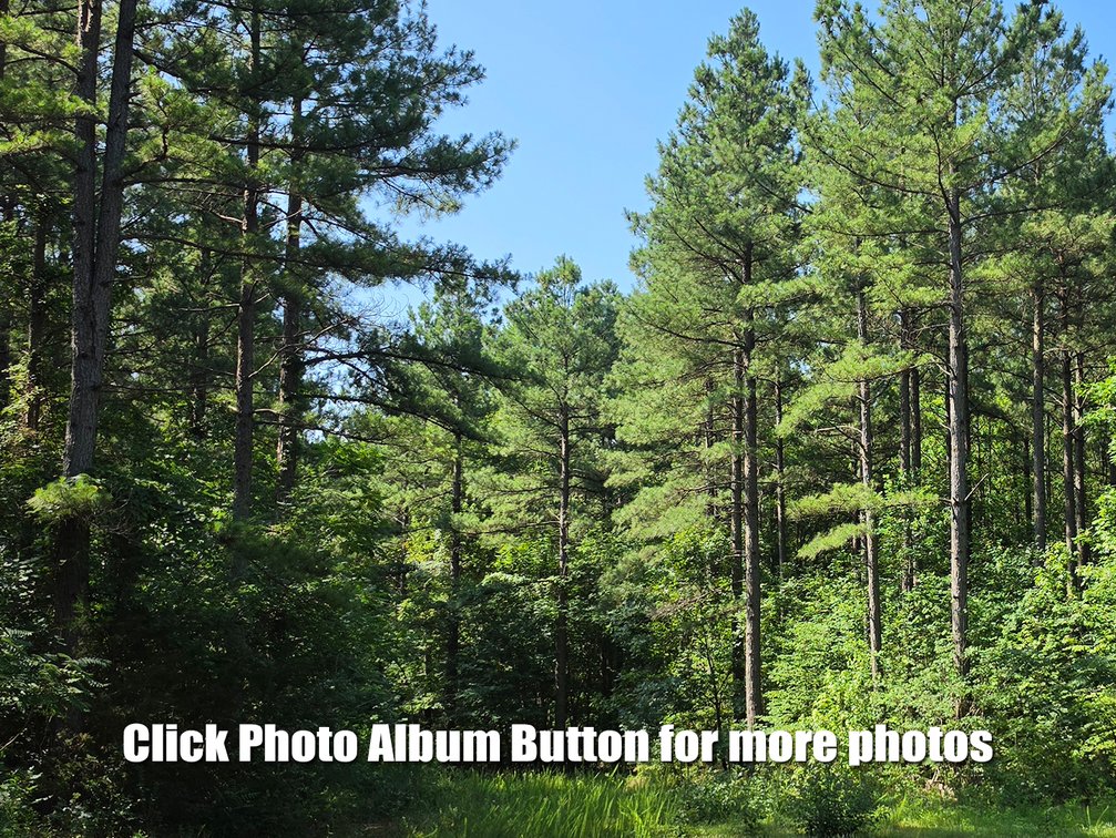 Image for 675 Wooded Acres in Crewe VA