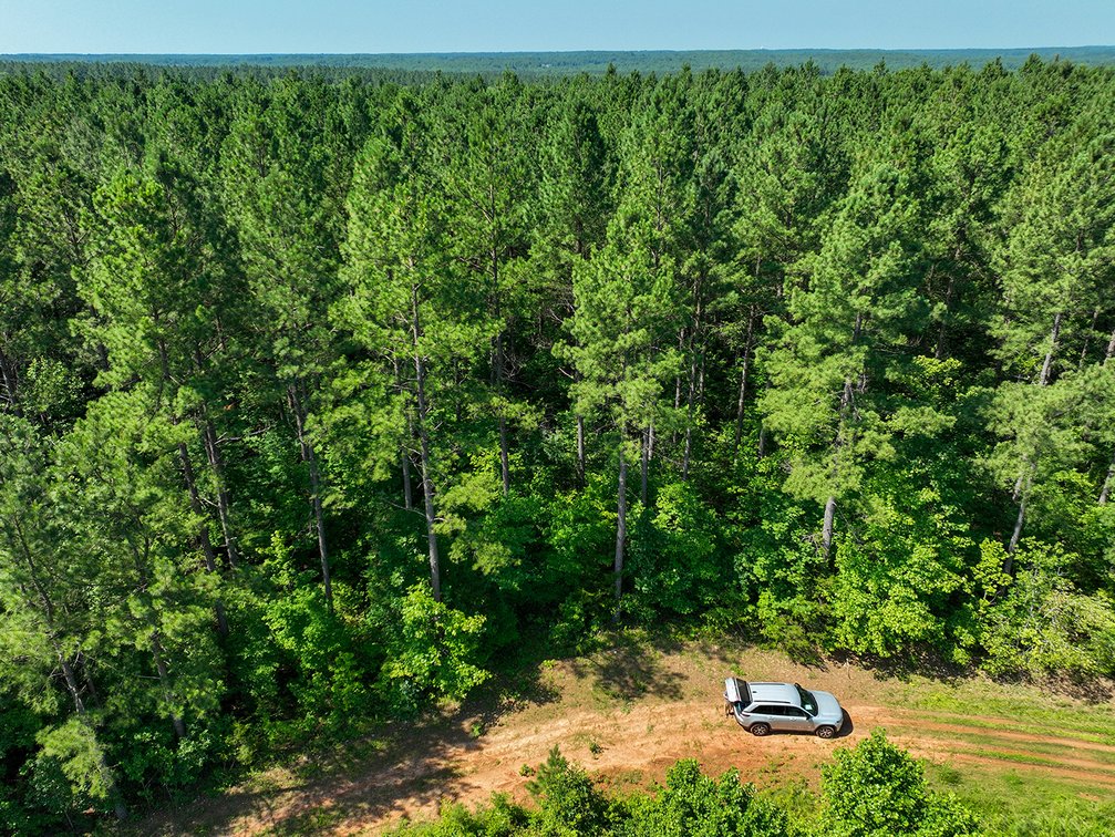Image for 675 Wooded Acres in Crewe VA