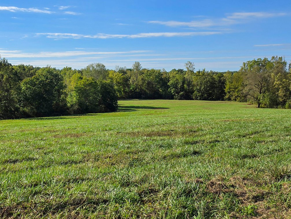 Image for 208 Acres on Turnip Creek