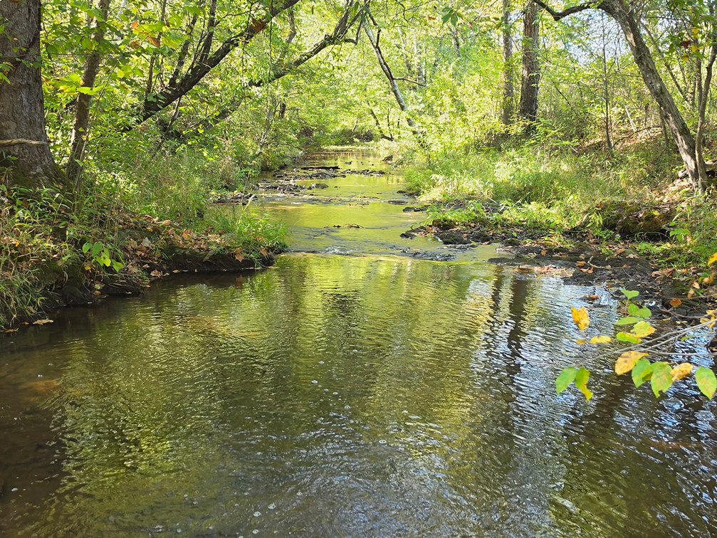 Image for 208 Acres on Turnip Creek