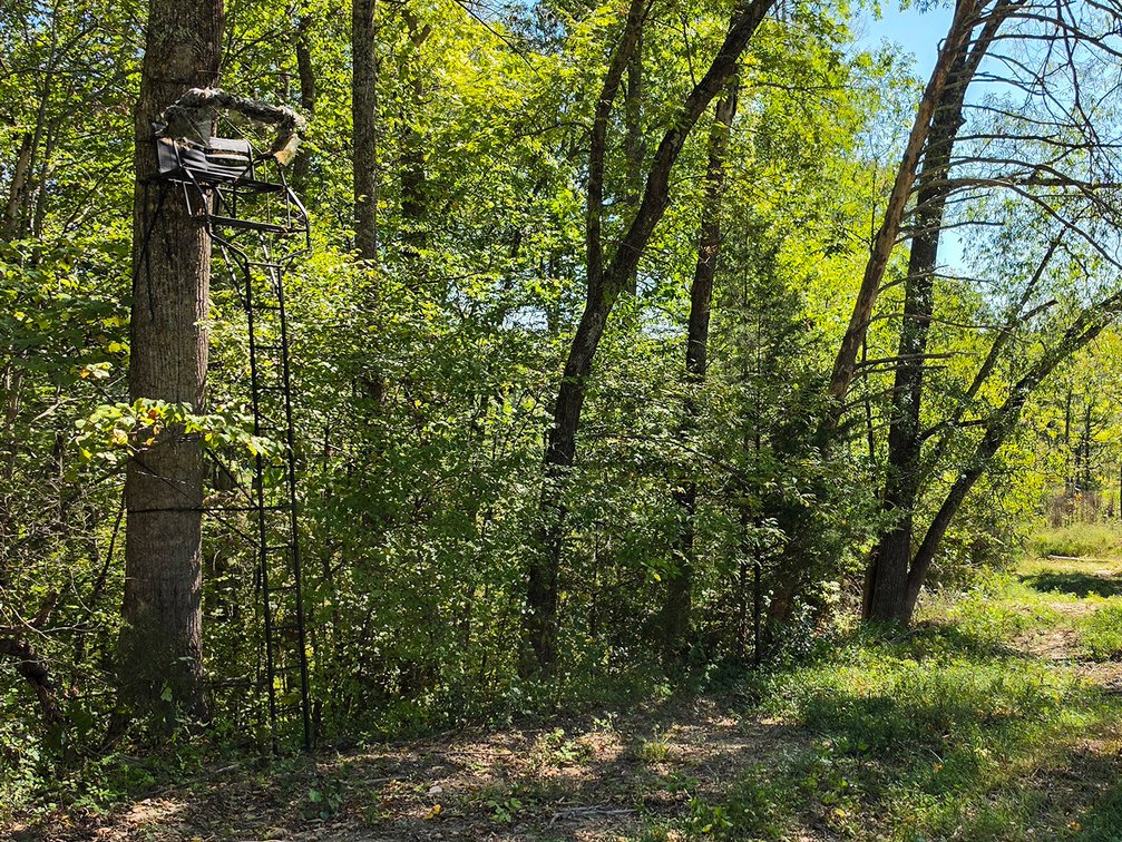Image for 208 Acres on Turnip Creek