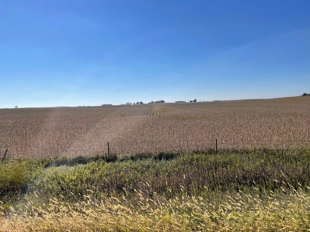 Image for Calhoun County, Iowa Farmland Auction!
