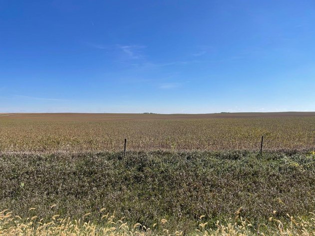 Image for Calhoun County, Iowa Farmland Auction!