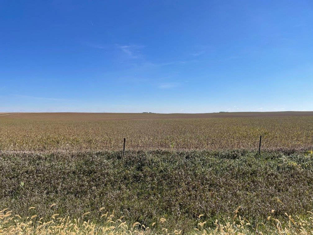 Image for Calhoun County, Iowa Farmland Auction!
