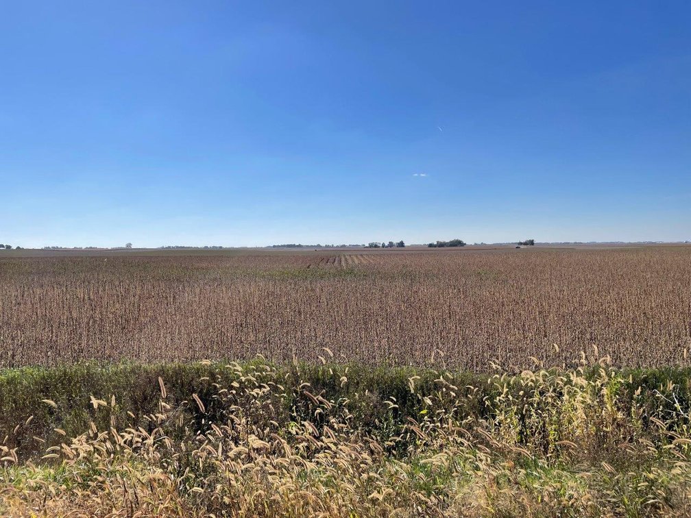 Image for Calhoun County, Iowa Farmland Auction!