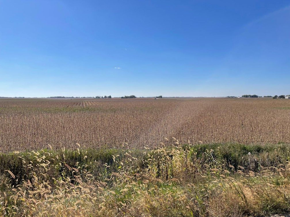 Image for Calhoun County, Iowa Farmland Auction!