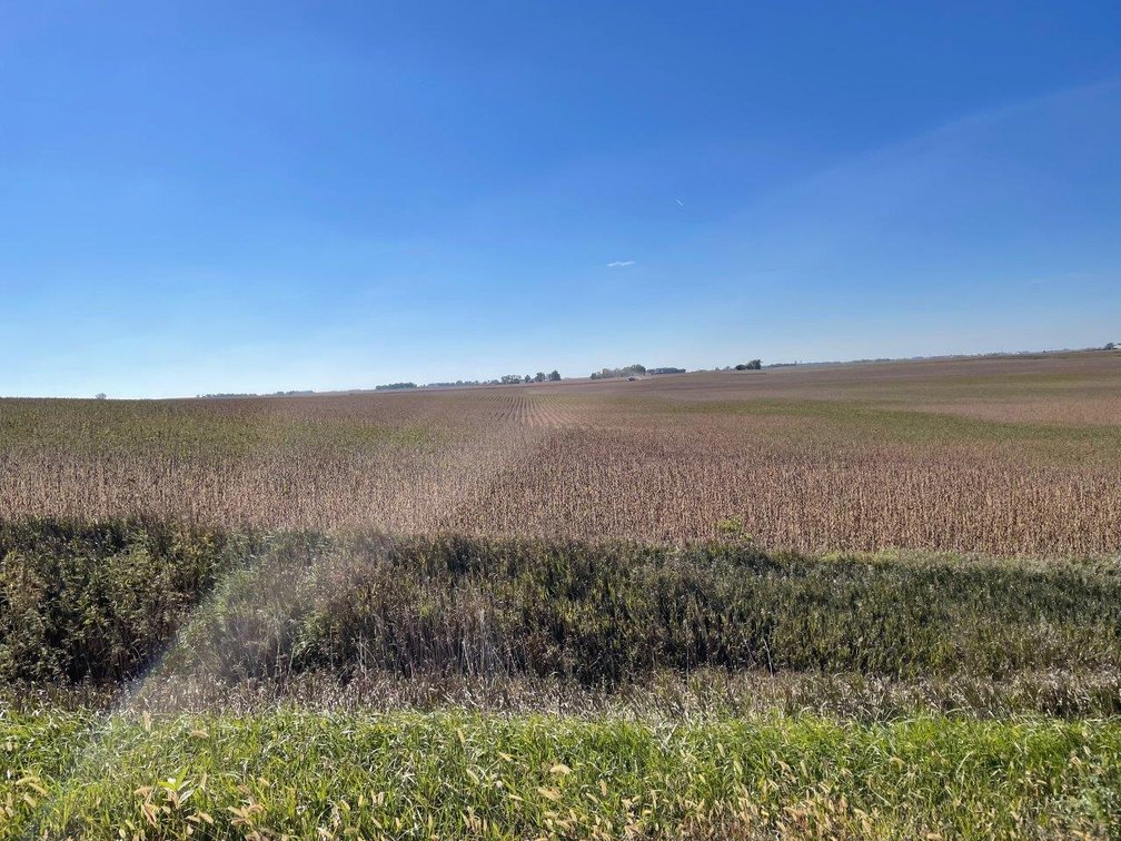 Image for Calhoun County, Iowa Farmland Auction!